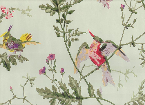hummingbird wallpaper for walls: Son Hummingbird wallpaper-