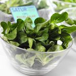 Go Try Mâche Salad