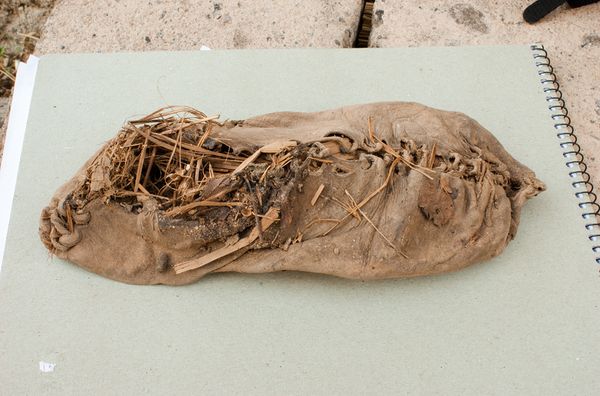Shoes: A history.