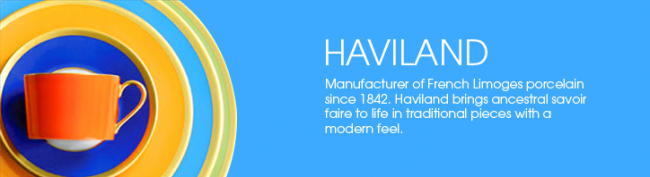 I need: Haviland Banded China
