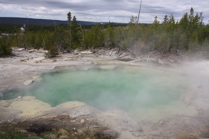 yellowstone