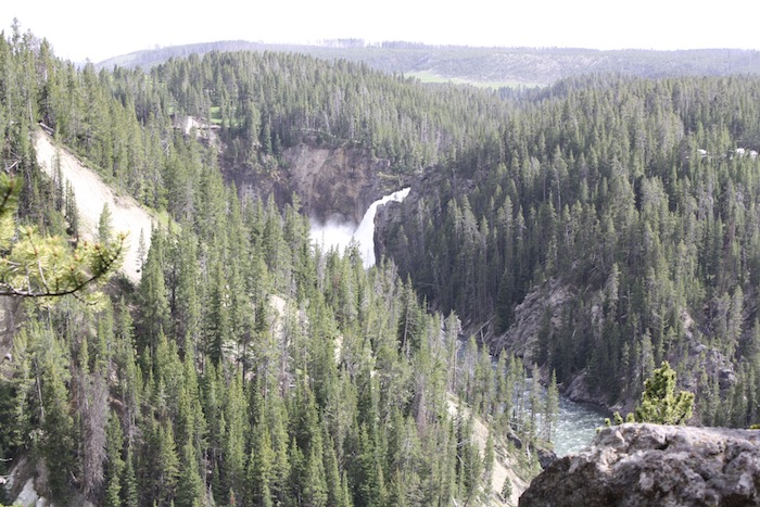 grand canyon of yellowstone