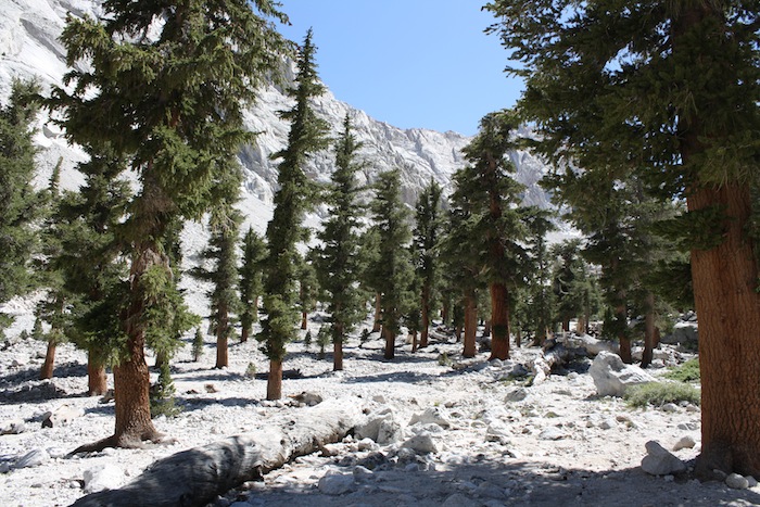 lone pine lake