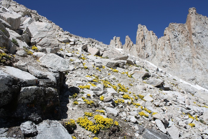 mount whitney