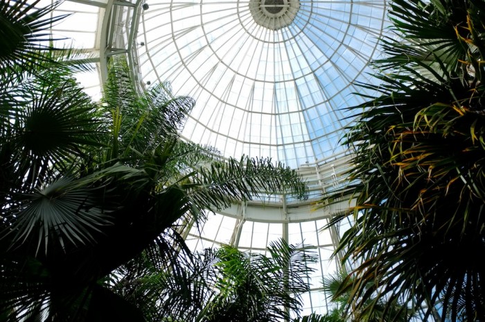 Monet's gardens