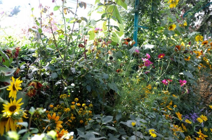 Monet's gardens