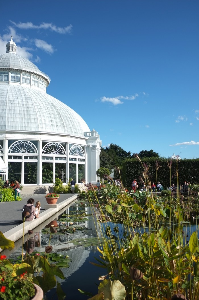 Monet's gardens