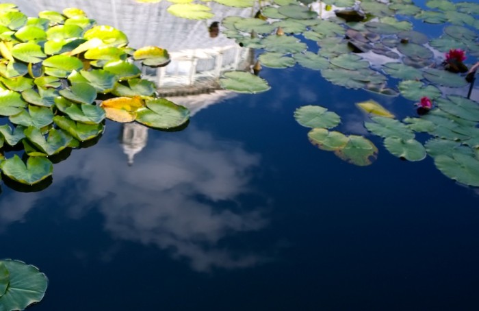 Monet's gardens