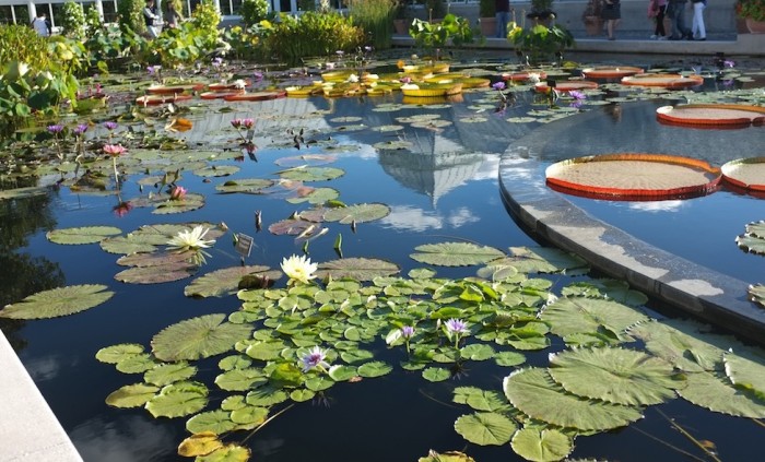 Monet's gardens