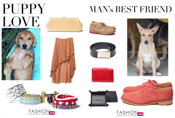 A Cause for Paws!