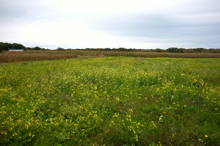 farm rhode island
