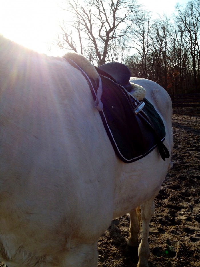 Light Stalking.