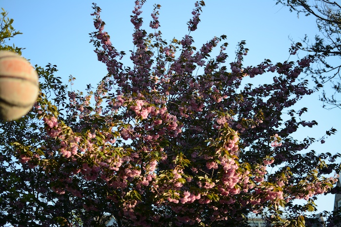DSC_7817